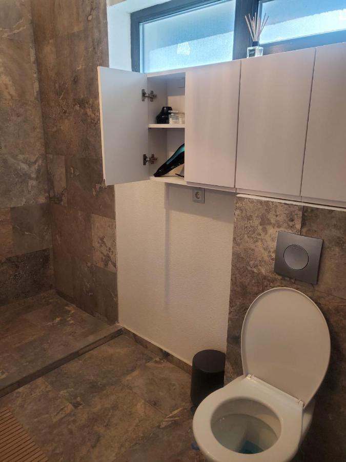 סינאיה Casa Larisa - Wolves Apartment מראה חיצוני תמונה