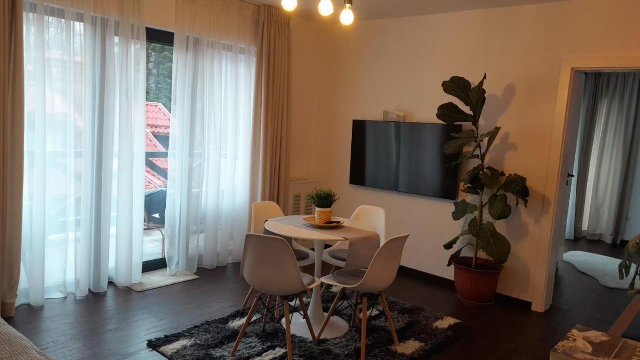 סינאיה Casa Larisa - Wolves Apartment מראה חיצוני תמונה